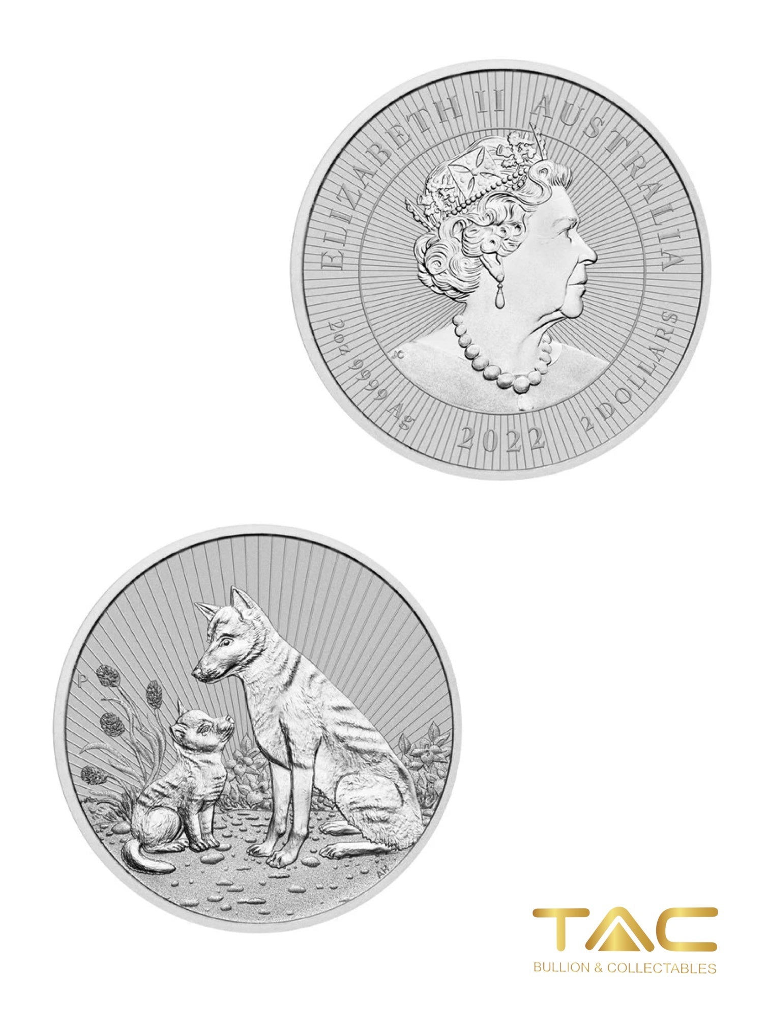 2 oz Silver Coin - 2022 Silver Mother and Baby Dingo - Perth