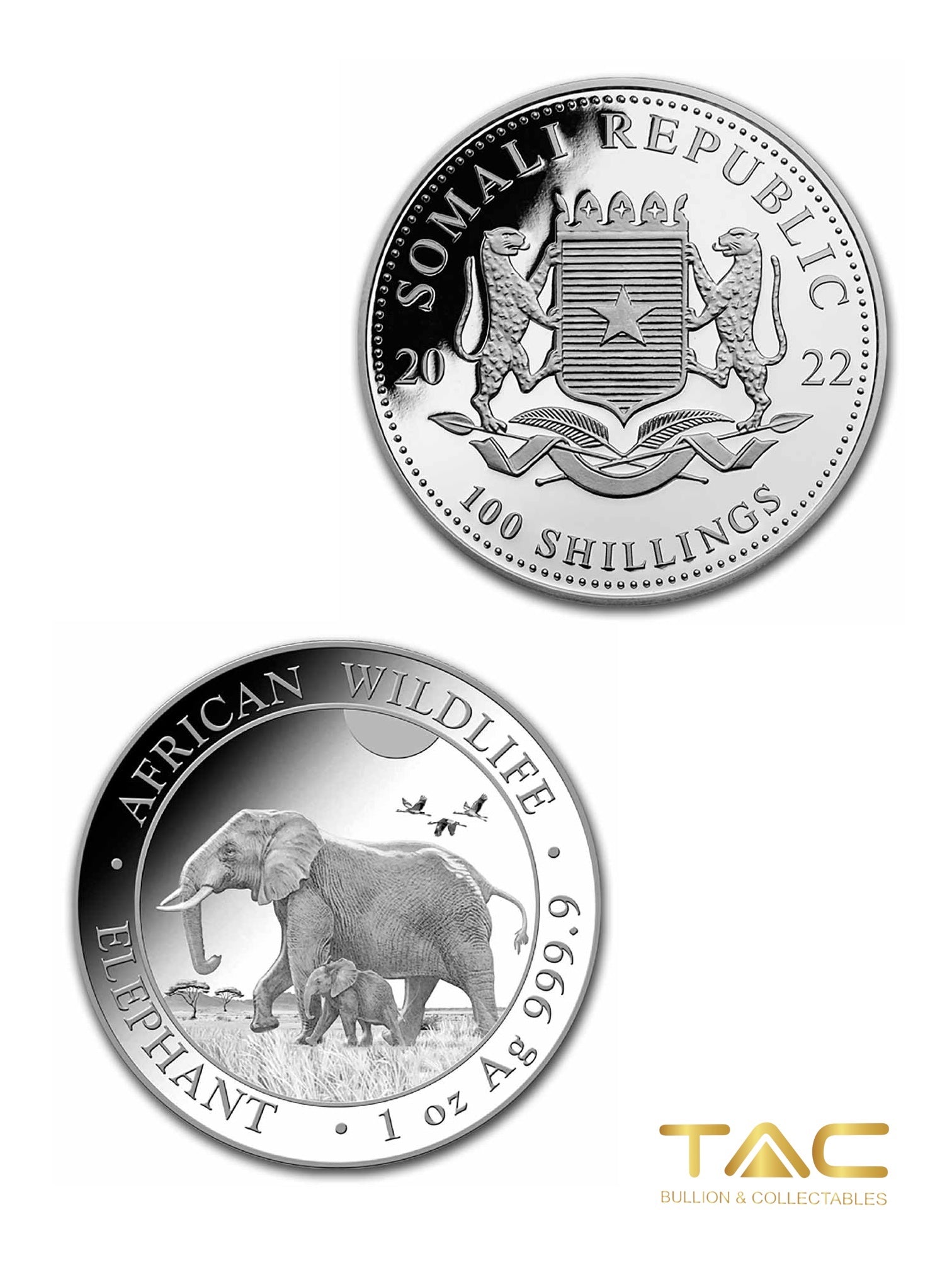 1 oz Silver Coin - 2022 Somalia Elephant - Bavarian State Mint